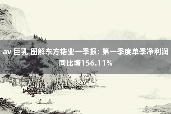 av 巨乳 图解东方锆业一季报: 第一季度单季净利润同比增156.11%