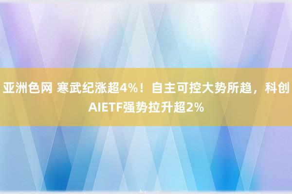 亚洲色网 寒武纪涨超4%！自主可控大势所趋，科创AIETF强势拉升超2%