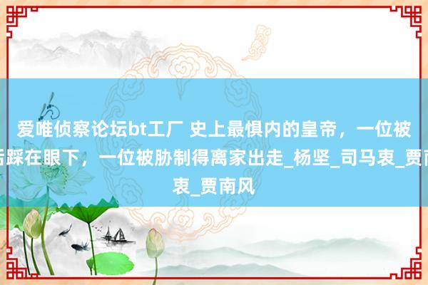 爱唯侦察论坛bt工厂 史上最惧内的皇帝，一位被皇后踩在眼下，一位被胁制得离家出走_杨坚_司马衷_贾南风