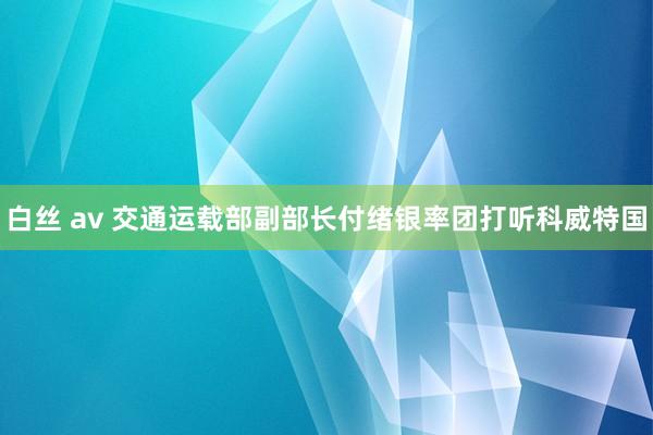 白丝 av 交通运载部副部长付绪银率团打听科威特国