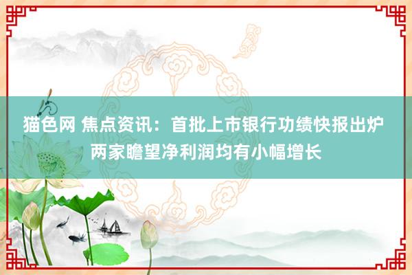 猫色网 焦点资讯：首批上市银行功绩快报出炉 两家瞻望净利润均有小幅增长