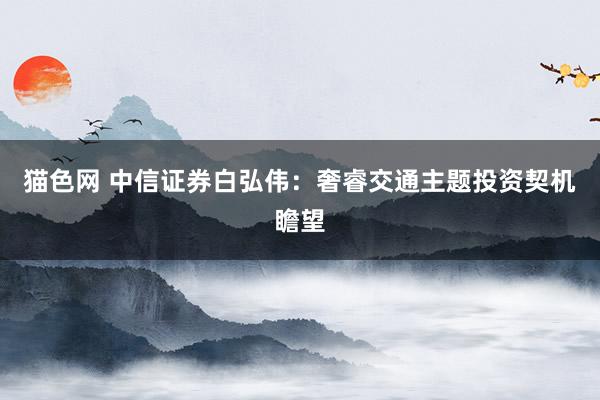 猫色网 中信证券白弘伟：奢睿交通主题投资契机瞻望