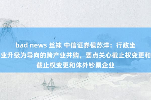 bad news 丝袜 中信证券侯苏洋：行政坐褥力发展，产业升级为导向的跨产业并购，要点关心截止权变更和体外钞票企业