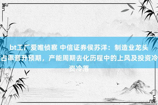bt工厂爱唯侦察 中信证券侯苏洋：制造业龙头市占率晋升预期，产能周期去化历程中的上风及投资冷落
