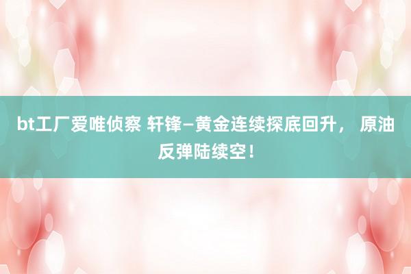 bt工厂爱唯侦察 轩锋—黄金连续探底回升， 原油反弹陆续空！