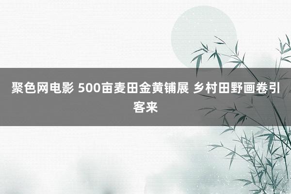 聚色网电影 500亩麦田金黄铺展 乡村田野画卷引客来