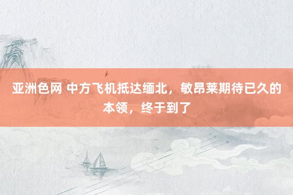 亚洲色网 中方飞机抵达缅北，敏昂莱期待已久的本领，终于到了