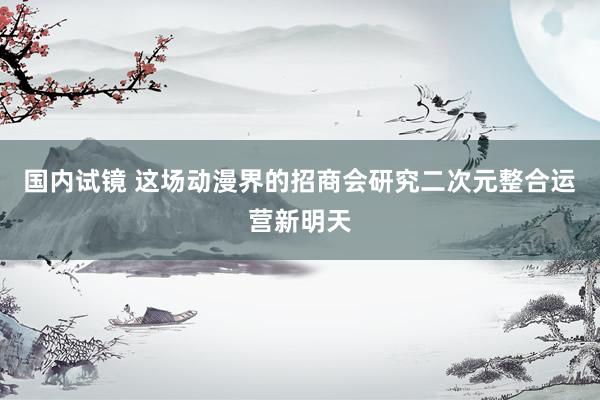 国内试镜 这场动漫界的招商会研究二次元整合运营新明天